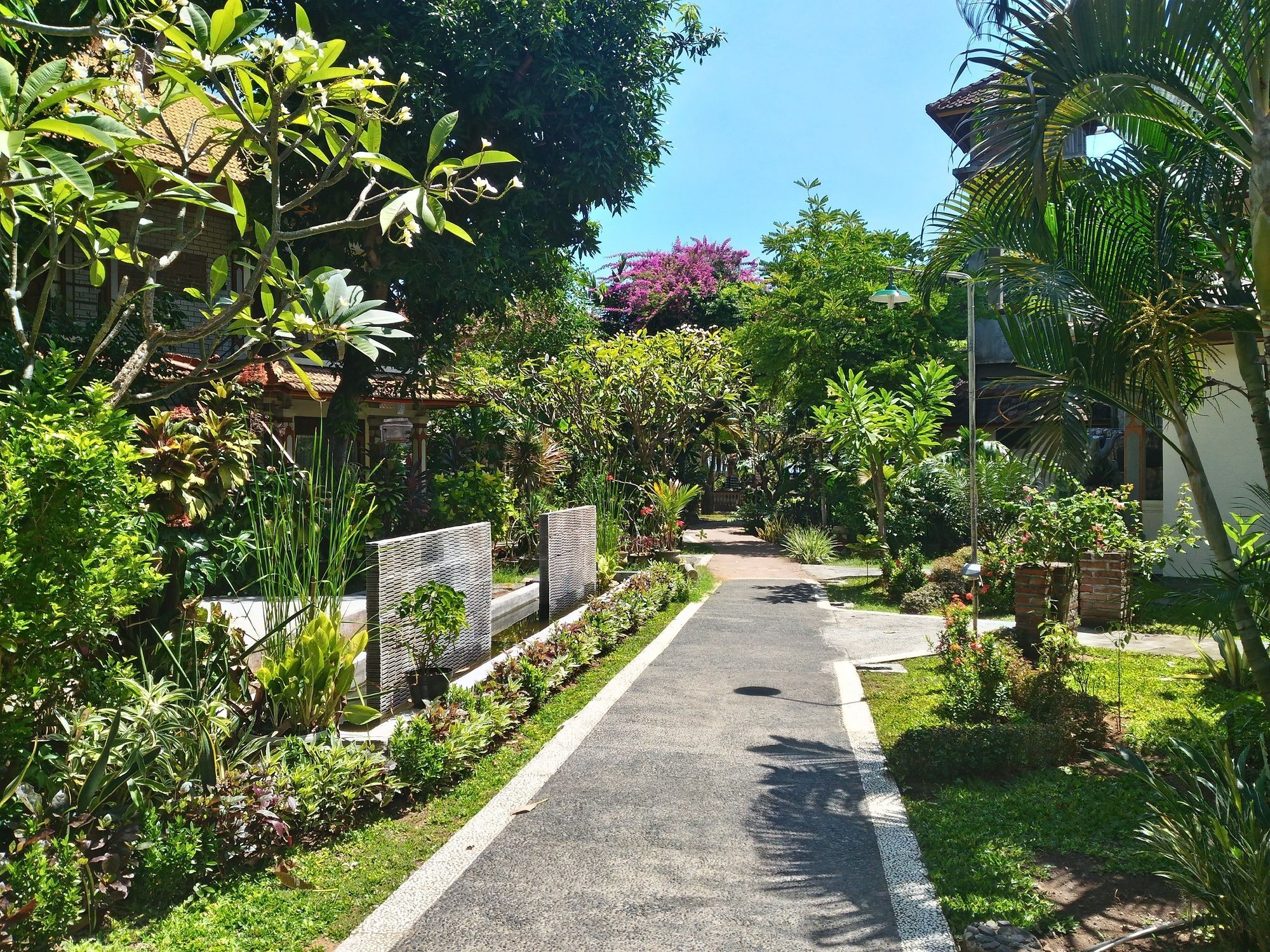 Lovina Beach Hotel Pabean Buleleng Kültér fotó